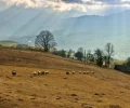 Компания находится в Готэм-сити